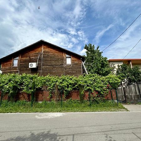 ❆Cozy, 4 Br. Villa In Ananuri❆ エクステリア 写真