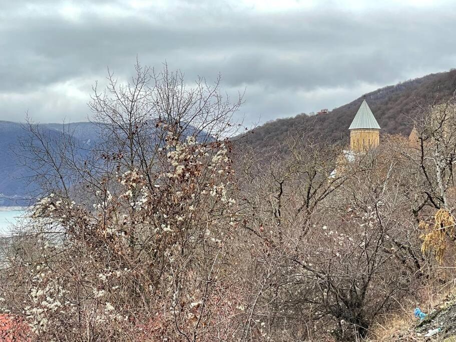 ❆Cozy, 4 Br. Villa In Ananuri❆ エクステリア 写真